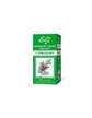 Olejek Cyprysowy, 10 ml (2)